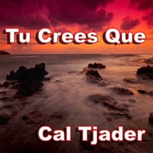 Album cover art for Tu Crees Que