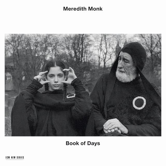 Album cover art for Book of Days
