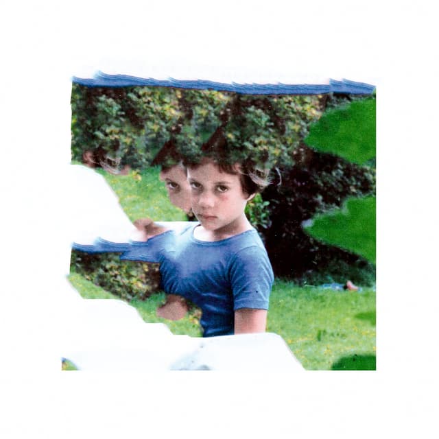 Album cover art for The Fun