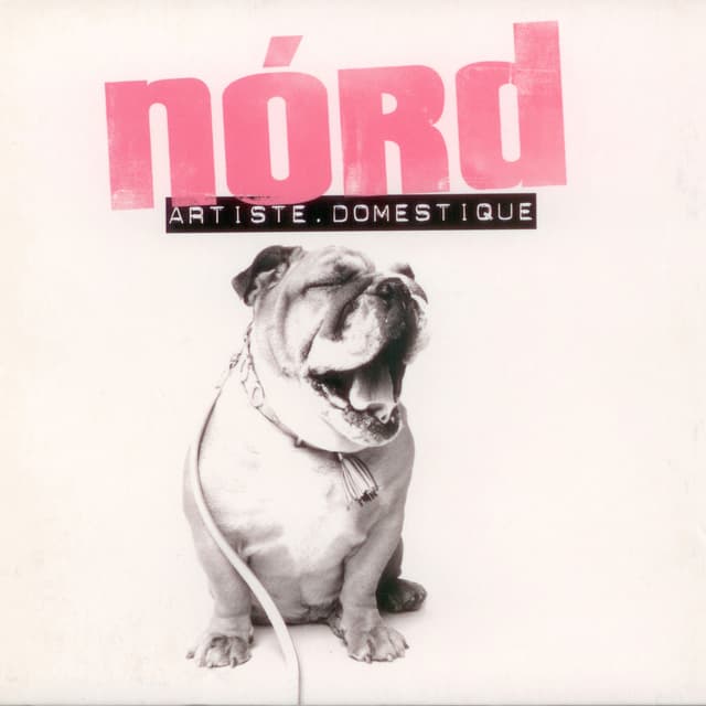 Album cover art for Artiste Domestique