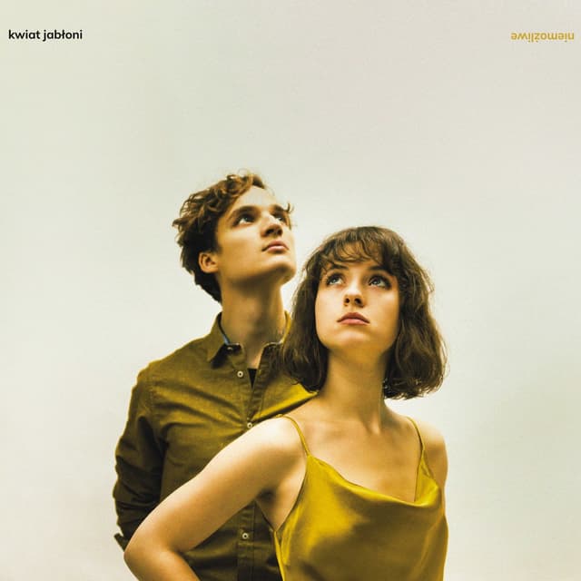 Album cover art for Niemożliwe