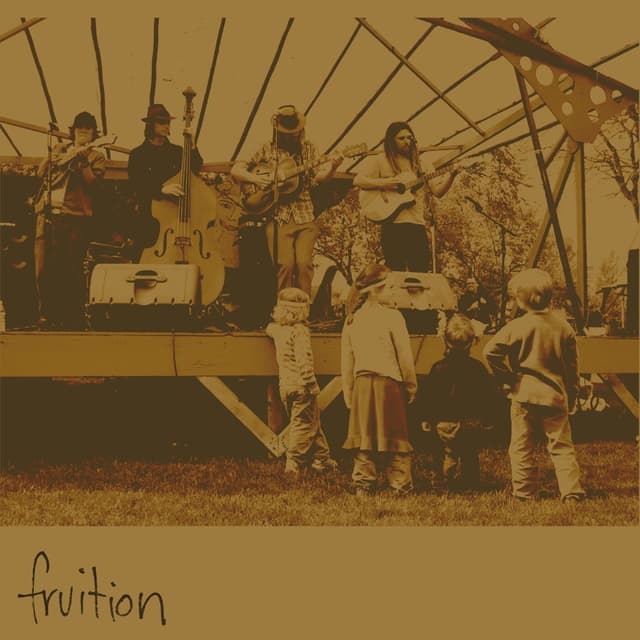 Album cover art for Fruition