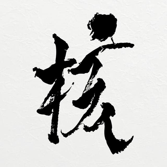 Album cover art for THE CORE - 核