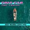 Just Wanna Love You