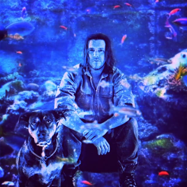 Album cover art for This Is Waterwave