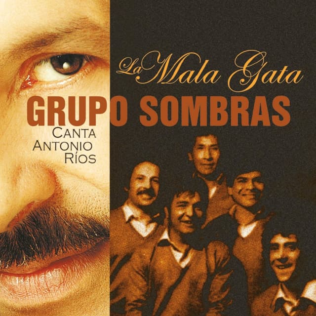 Album cover art for La Mala Gata