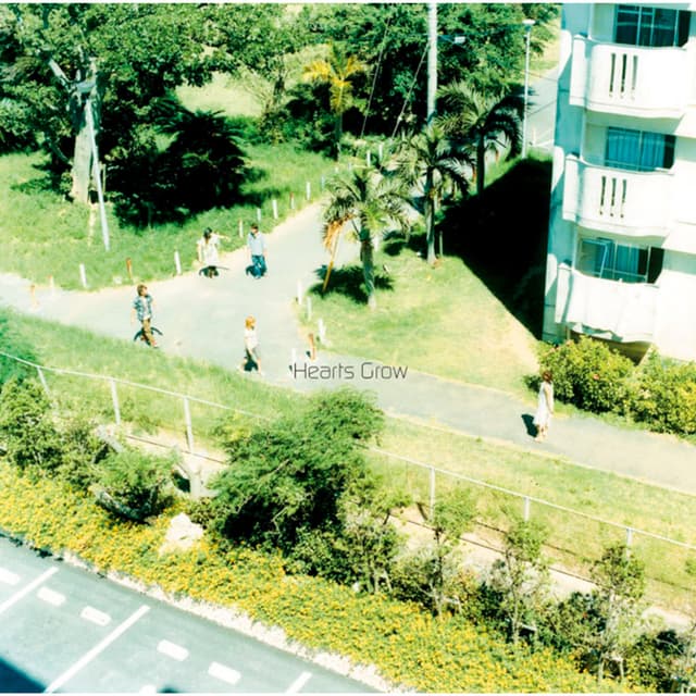 Album cover art for Sora