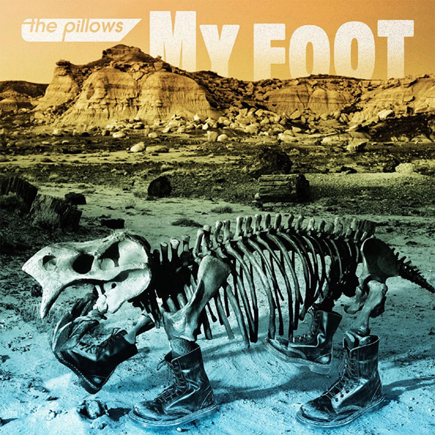 My Foot