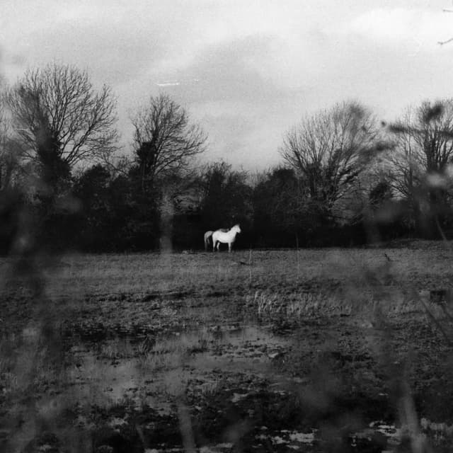 Album cover art for When You Run Away, Do You Close Your Eyes