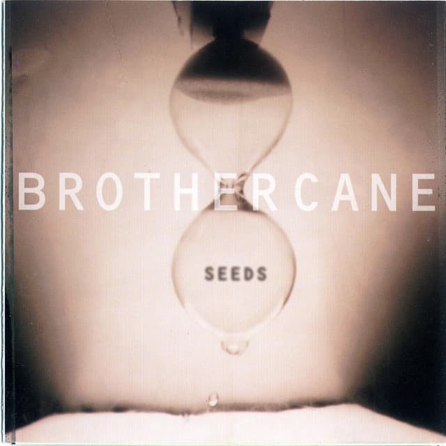 Album cover art for Seeds