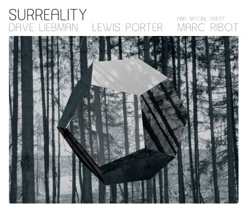 Album cover art for Surreality
