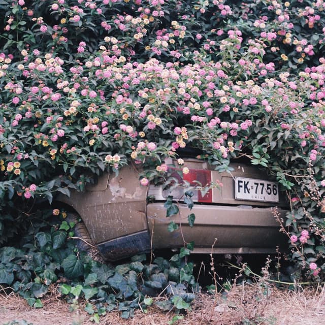 Album cover art for LA MÁXIMA