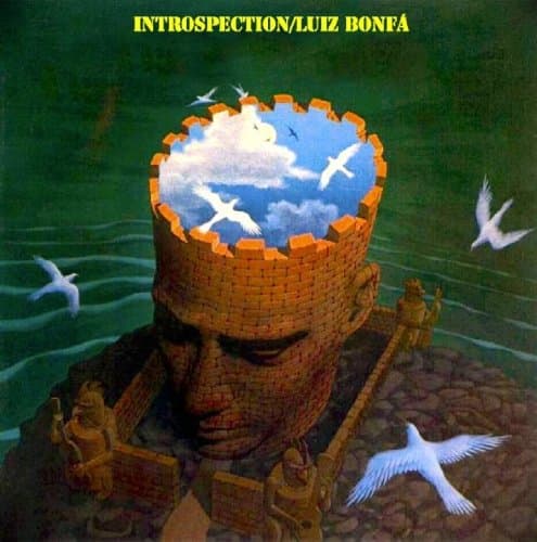 Album cover art for Introspection