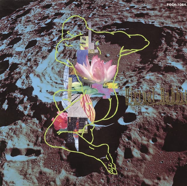 Album cover art for Virtual Rabbit