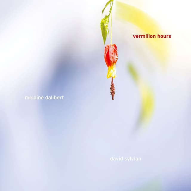Album cover art for Vermilion Hours