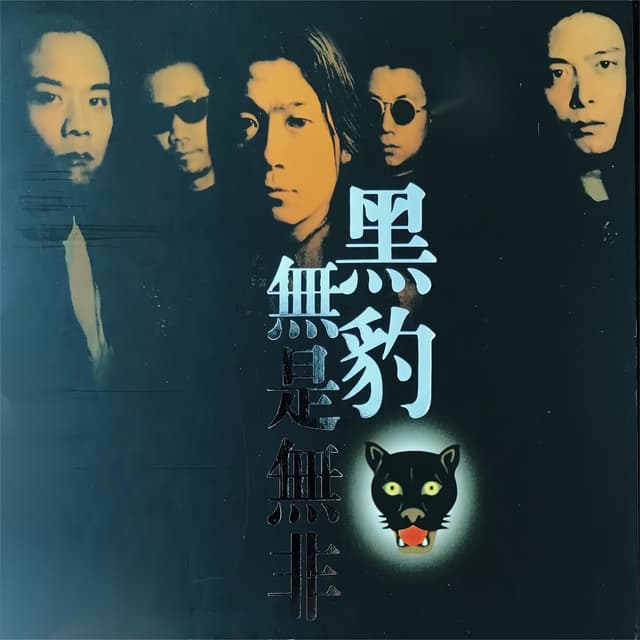 Album cover art for 无是无非