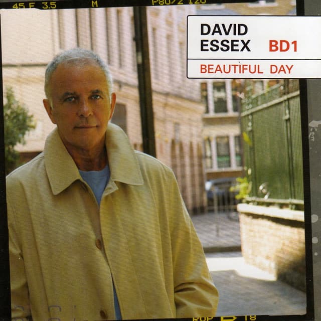 Album cover art for Beautiful Day