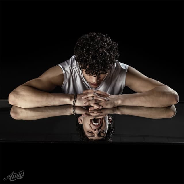 Album cover art for Fight Club