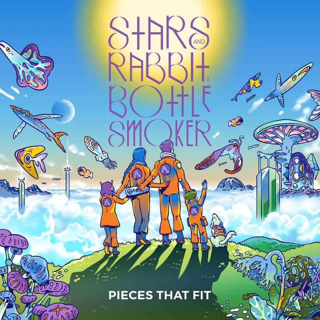 Album cover art for Pieces That Fit