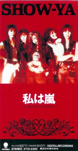 Album cover art for 私は嵐