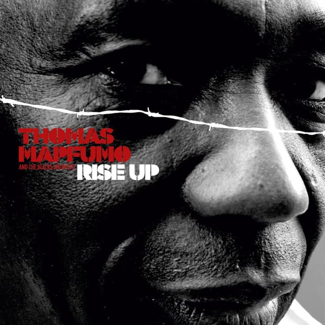 Album cover art for Rise Up