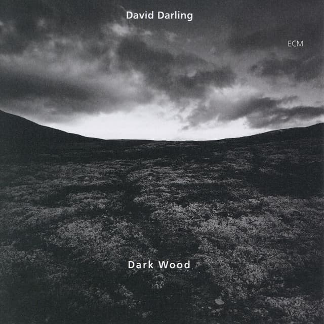 Album cover art for Dark Wood