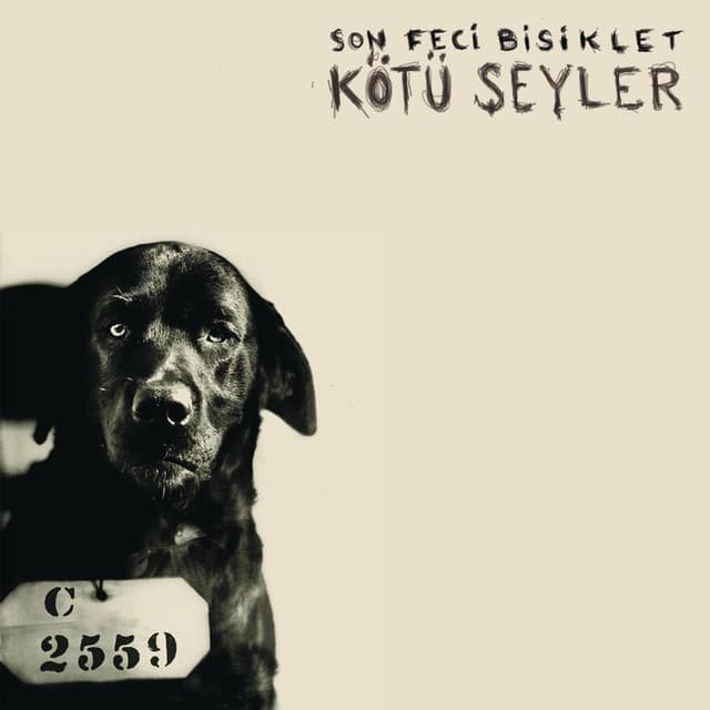 Album cover art for Kötü Şeyler