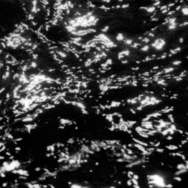 Album cover art for A I A: Dream Loss