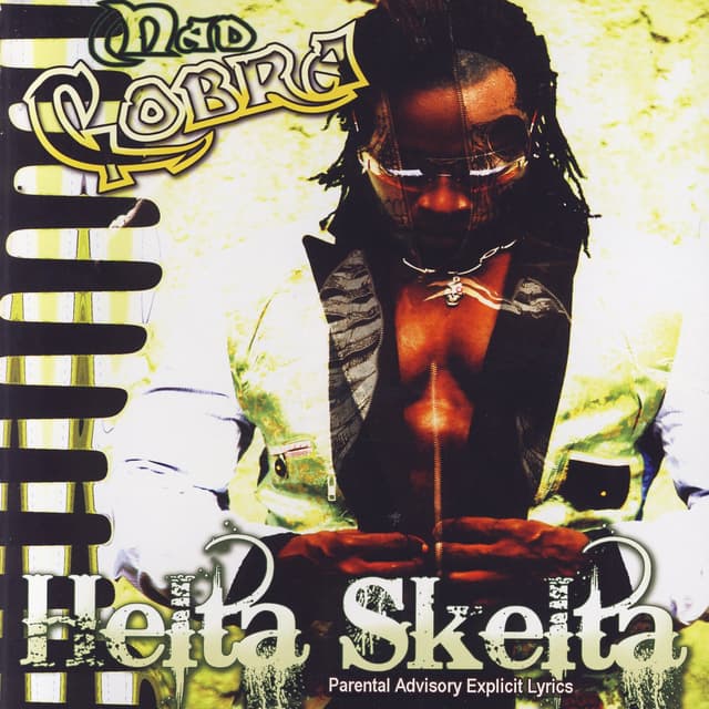 Album cover art for Helta Skelta