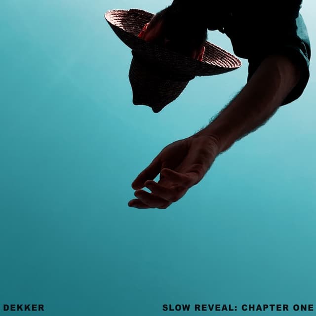 Album cover art for Slow Reveal: Chapter One