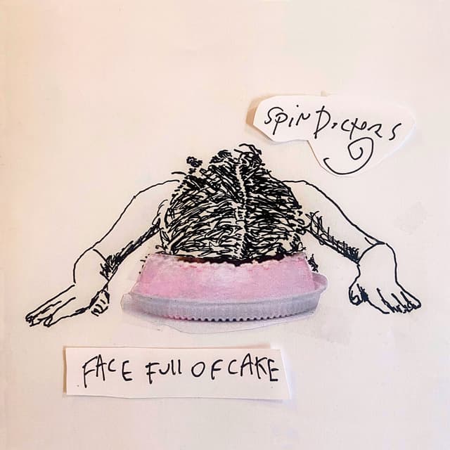 Album cover art for Face Full Of Cake
