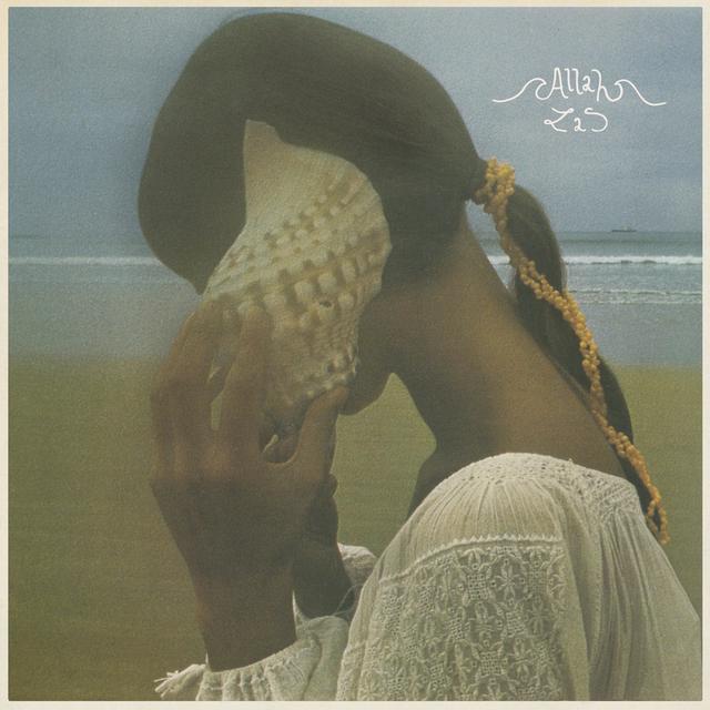 Album cover art for Allah-Las