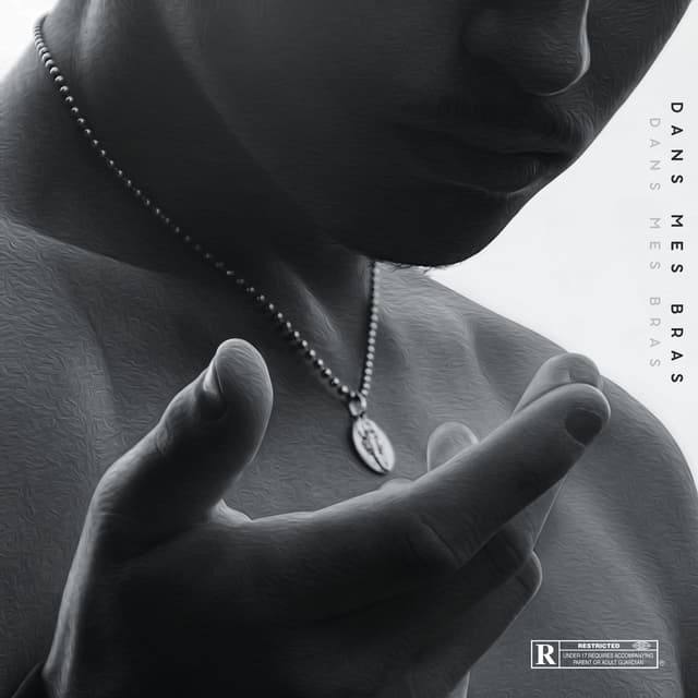 Album cover art for Dans mes bras