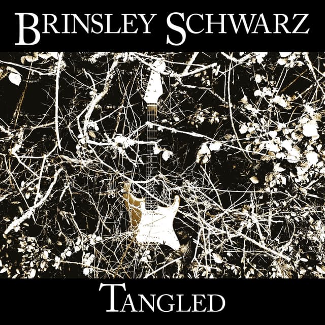 Album cover art for Tangled