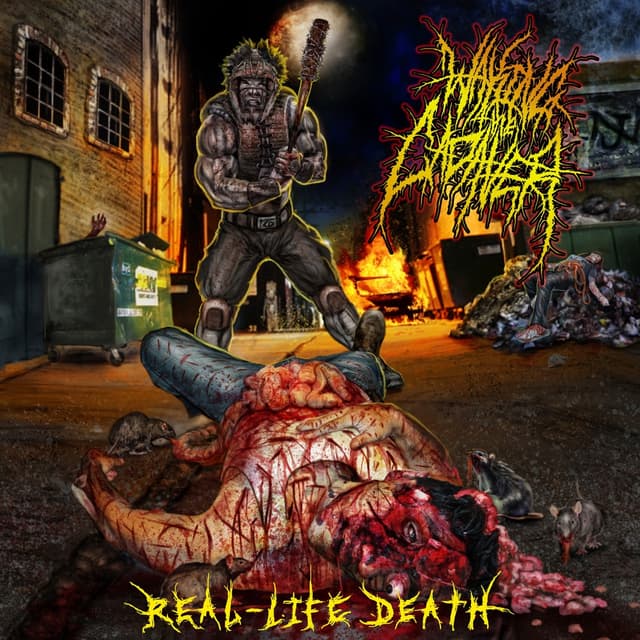 Album cover art for Real-Life Death