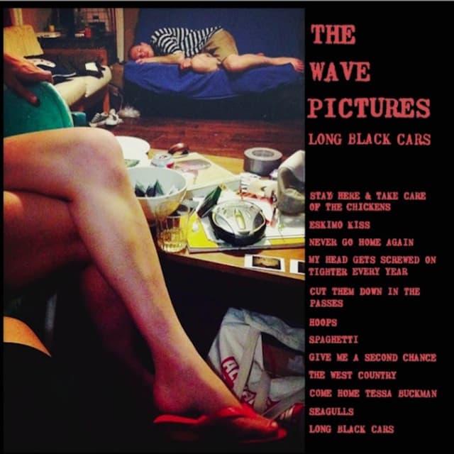 Album cover art for Long Black Cars