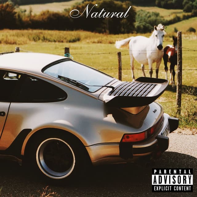 Album cover art for Natural