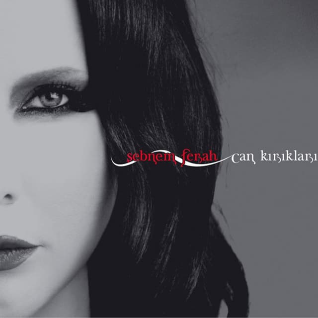 Album cover art for Can Kırıkları