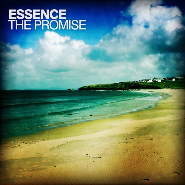 Album cover art for The Promise
