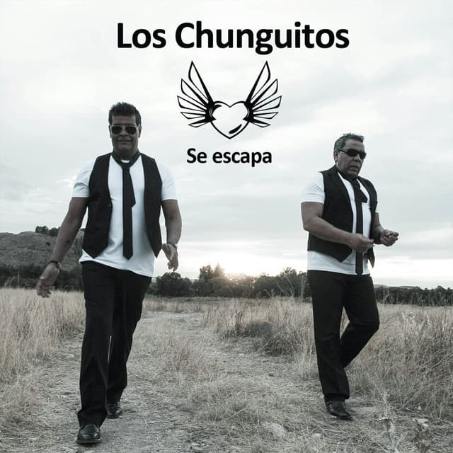 Album cover art for Se Escapa
