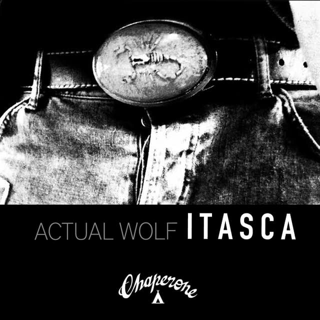 Album cover art for Itasca