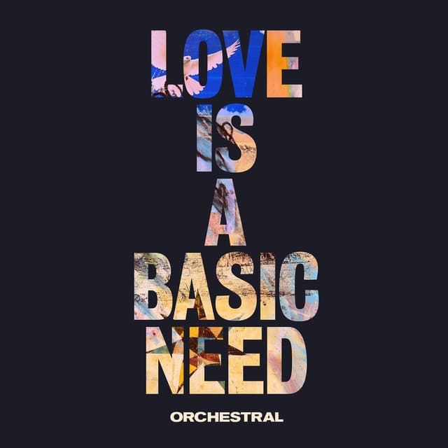 Album cover art for Love Is a Basic Need (Orchestral)