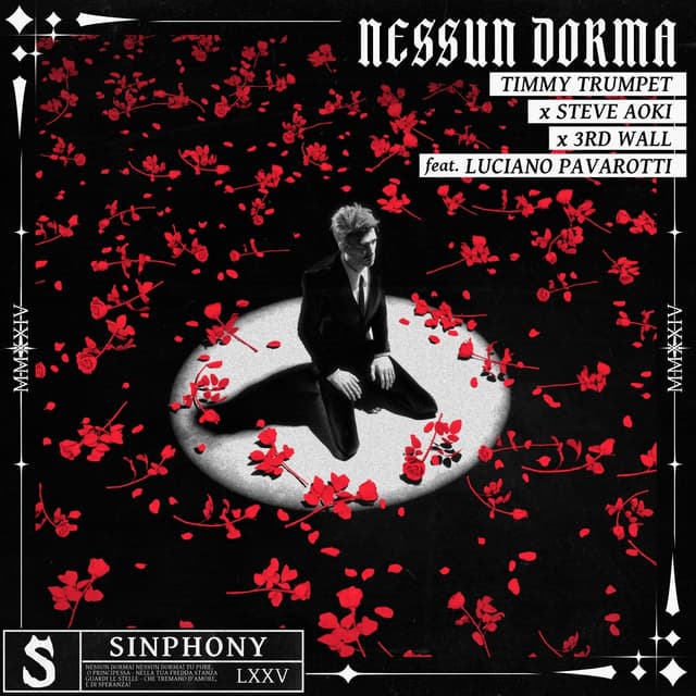 Album cover art for Nessun Dorma
