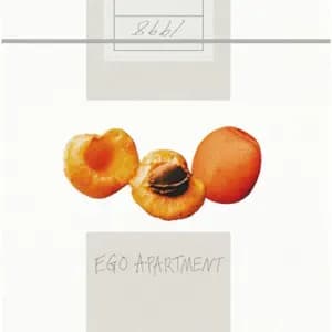 Album cover art for EGO APARTMENT
