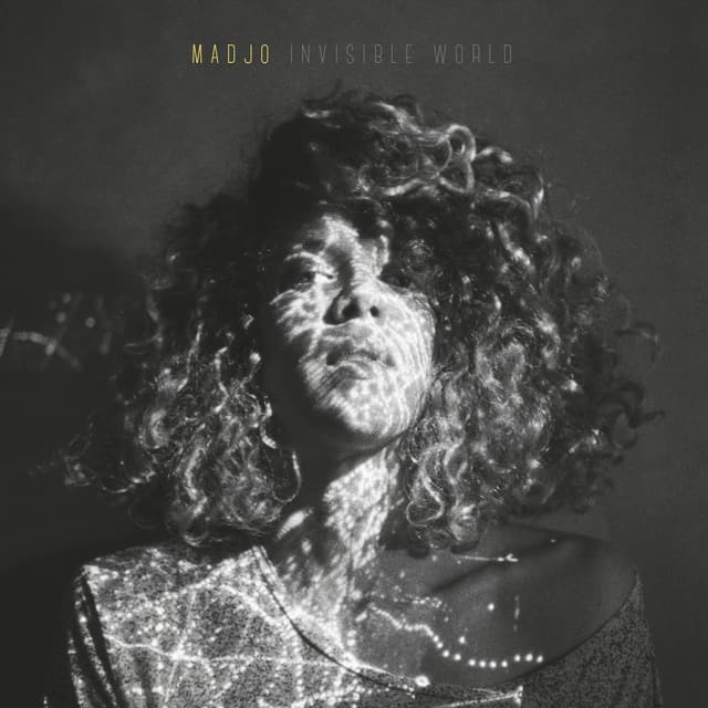 Album cover art for Invisible World