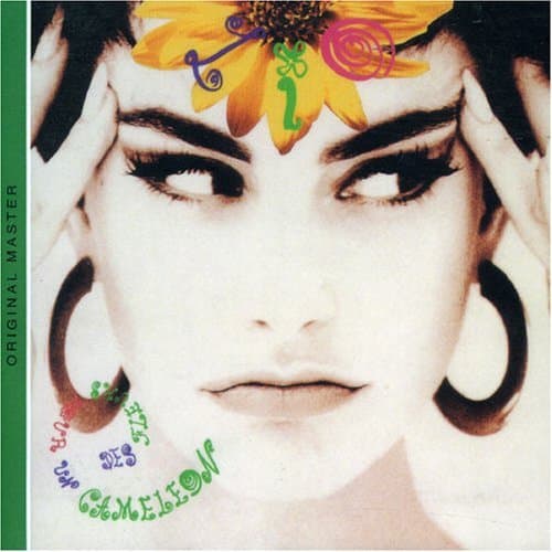 Album cover art for Des Fleurs pour Un Caméléon