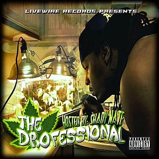 Album cover art for The Drofessional