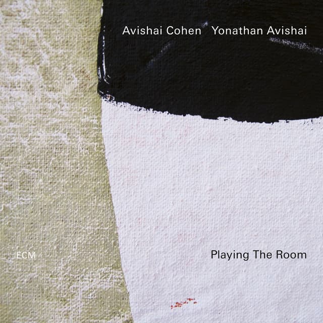 Album cover art for Playing the Room