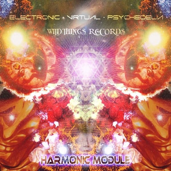Album cover art for Harmonic Module