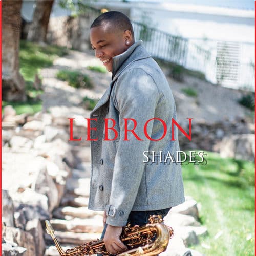 Album cover art for Shades